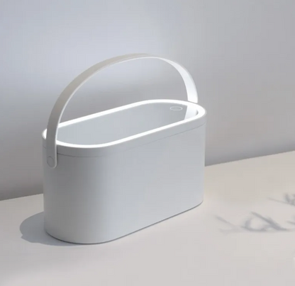 LED Illuminated Vanity Storage Mirror ChicCharm