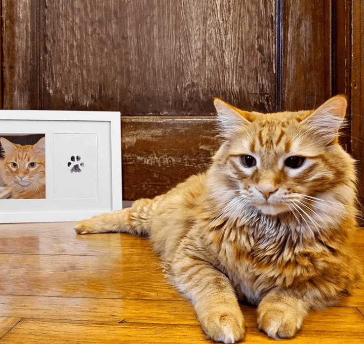Cherished Memories Photo Album