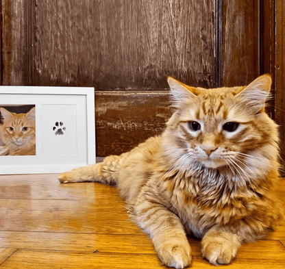 Cherished Memories Photo Album