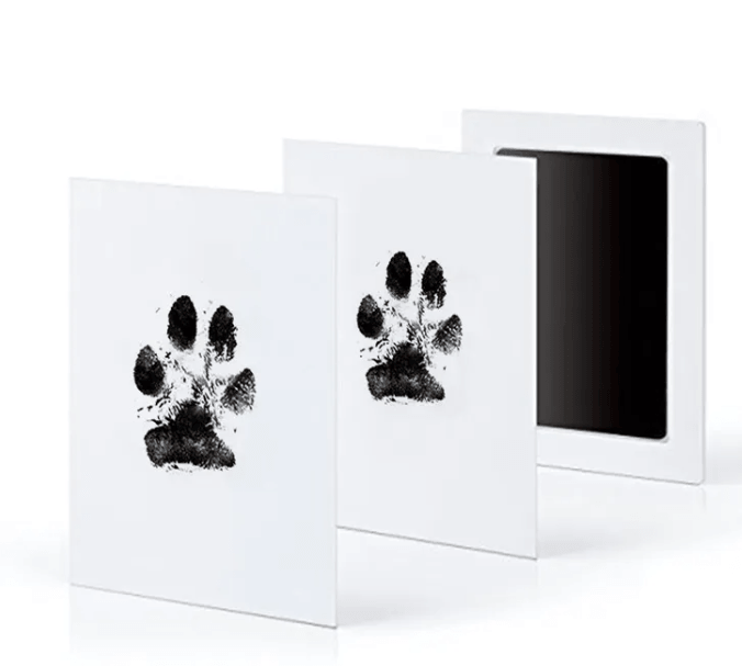 Cherished Memories Photo Album