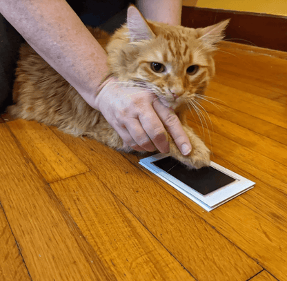 Cherished Memories Photo Album