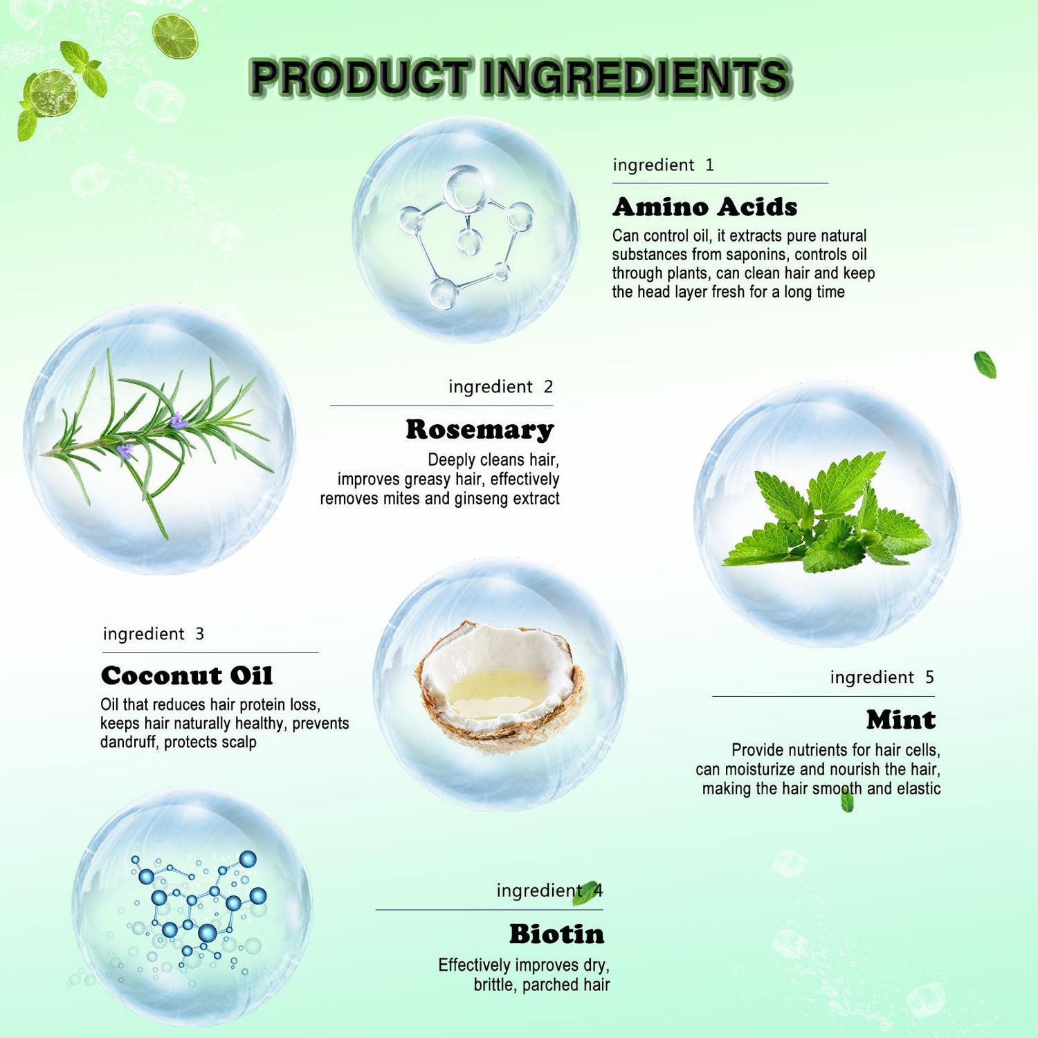 RoseMint Hair Growth Shampoo