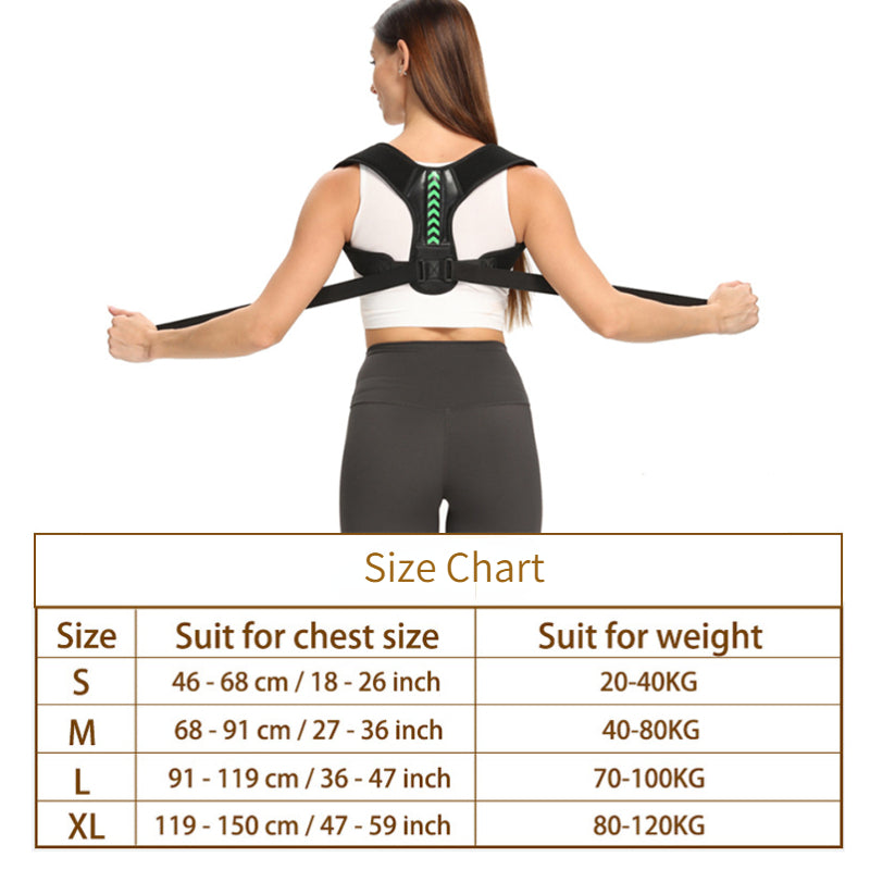 Back Support Posture Belt