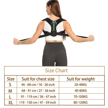 Back Support Posture Belt
