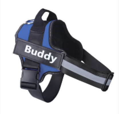 ComfortSecure Reflective Dog Harness ChicCharm