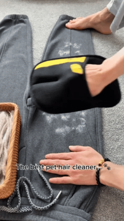 WagMitt Pet Hair Cleanup Glove