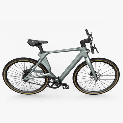 Fiido Air Carbon Fiber E-Bike