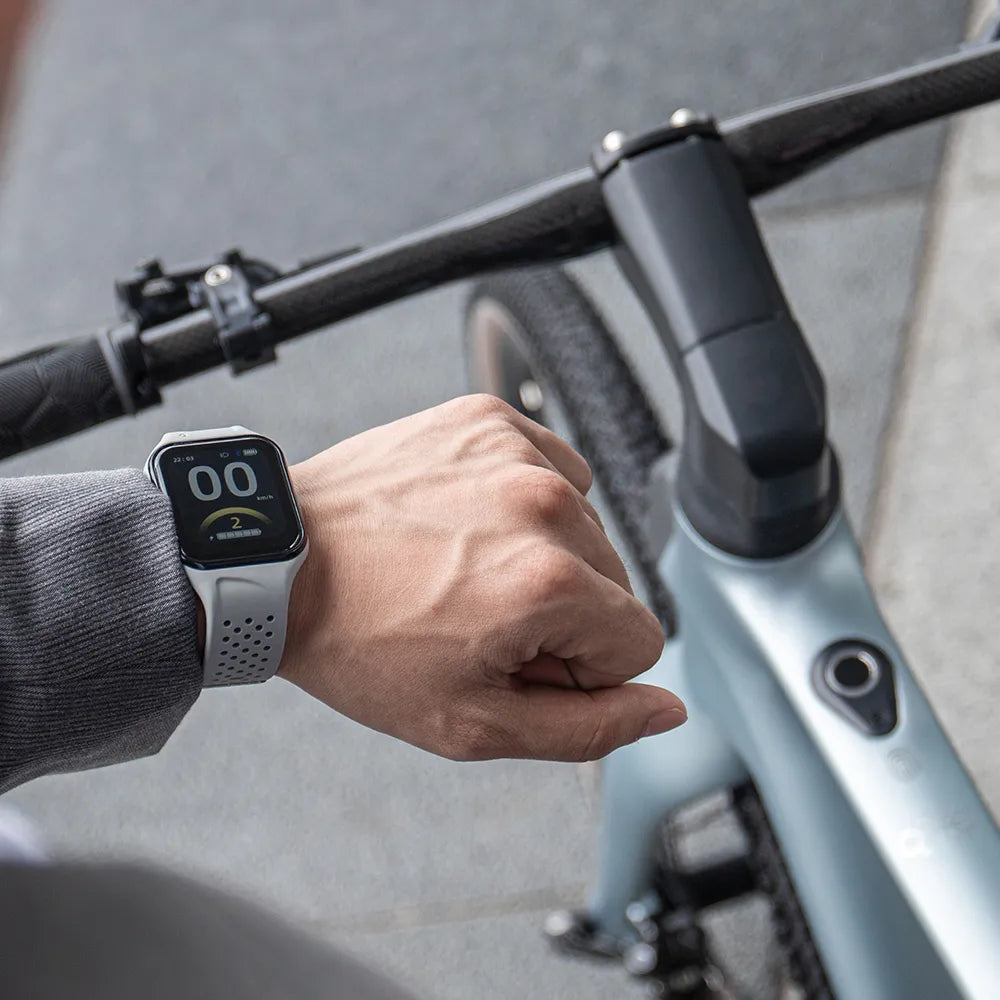 Fiido Air Carbon Fiber E-Bike