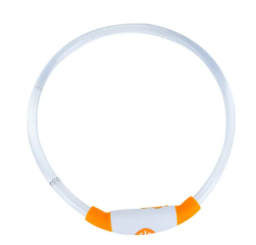 Glowing USB Dog Collar