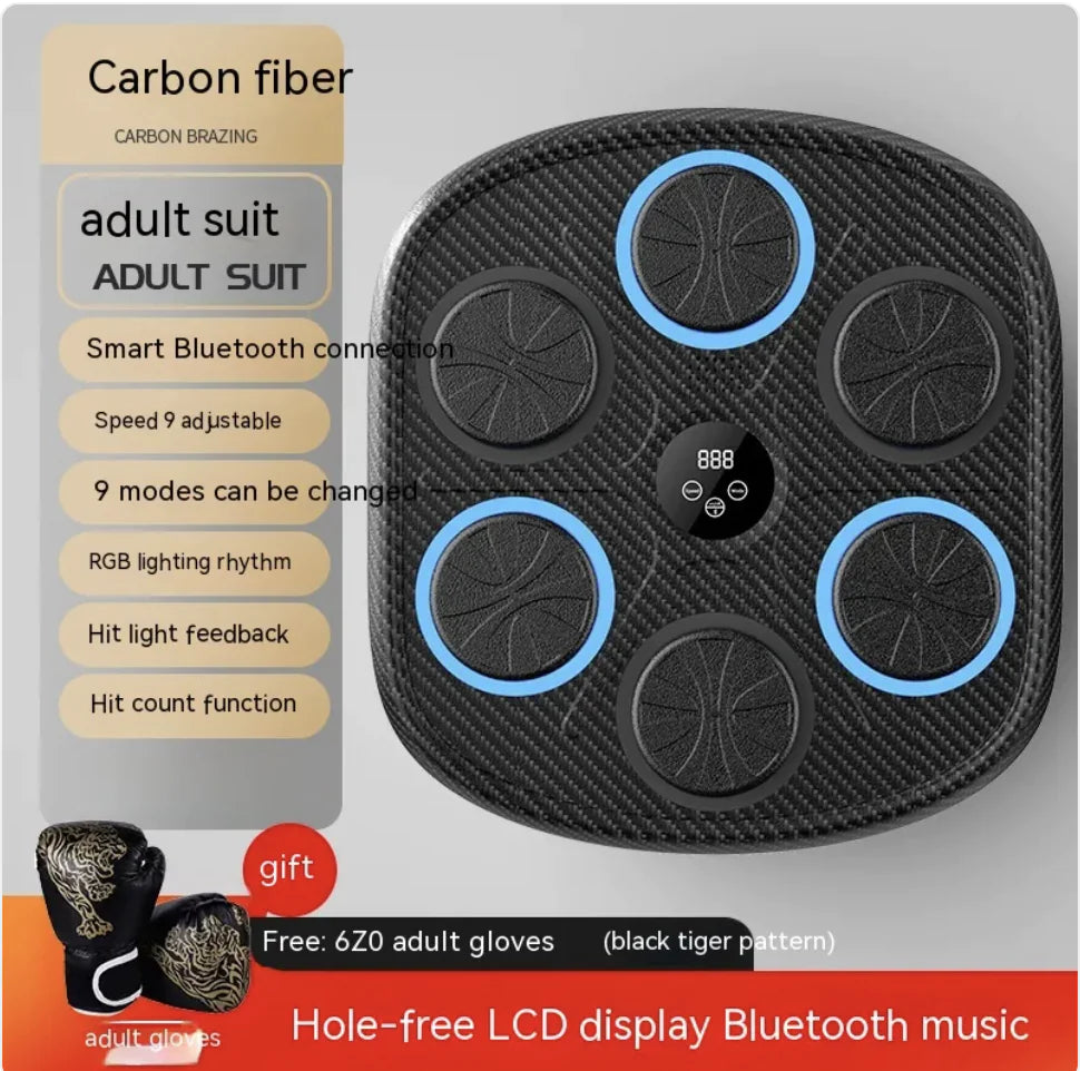 Rhythm Boxing Wall Pro