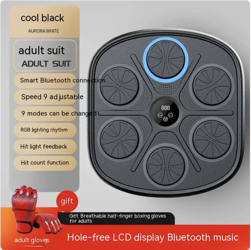 Rhythm Boxing Wall Pro