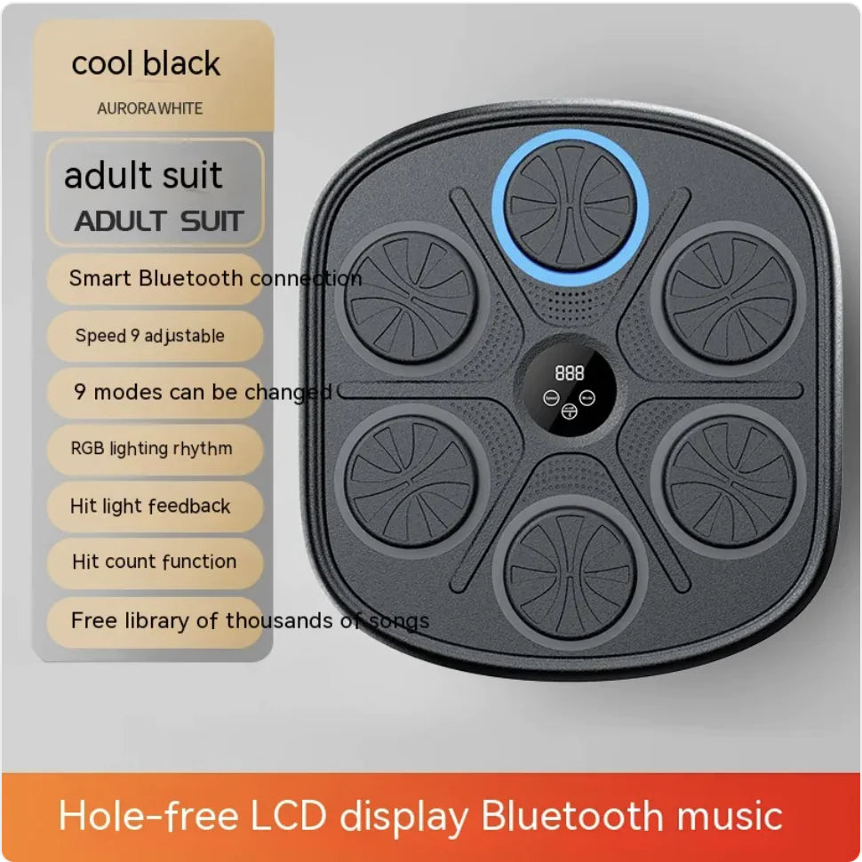 Rhythm Boxing Wall Pro