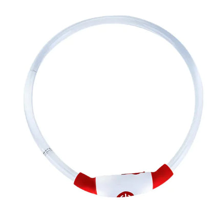 Glowing USB Dog Collar