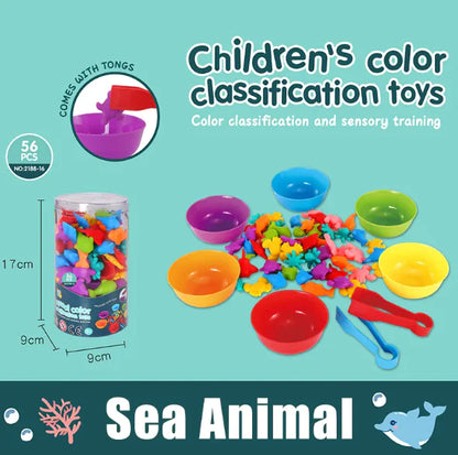 Rainbow Counting Math Toy Set