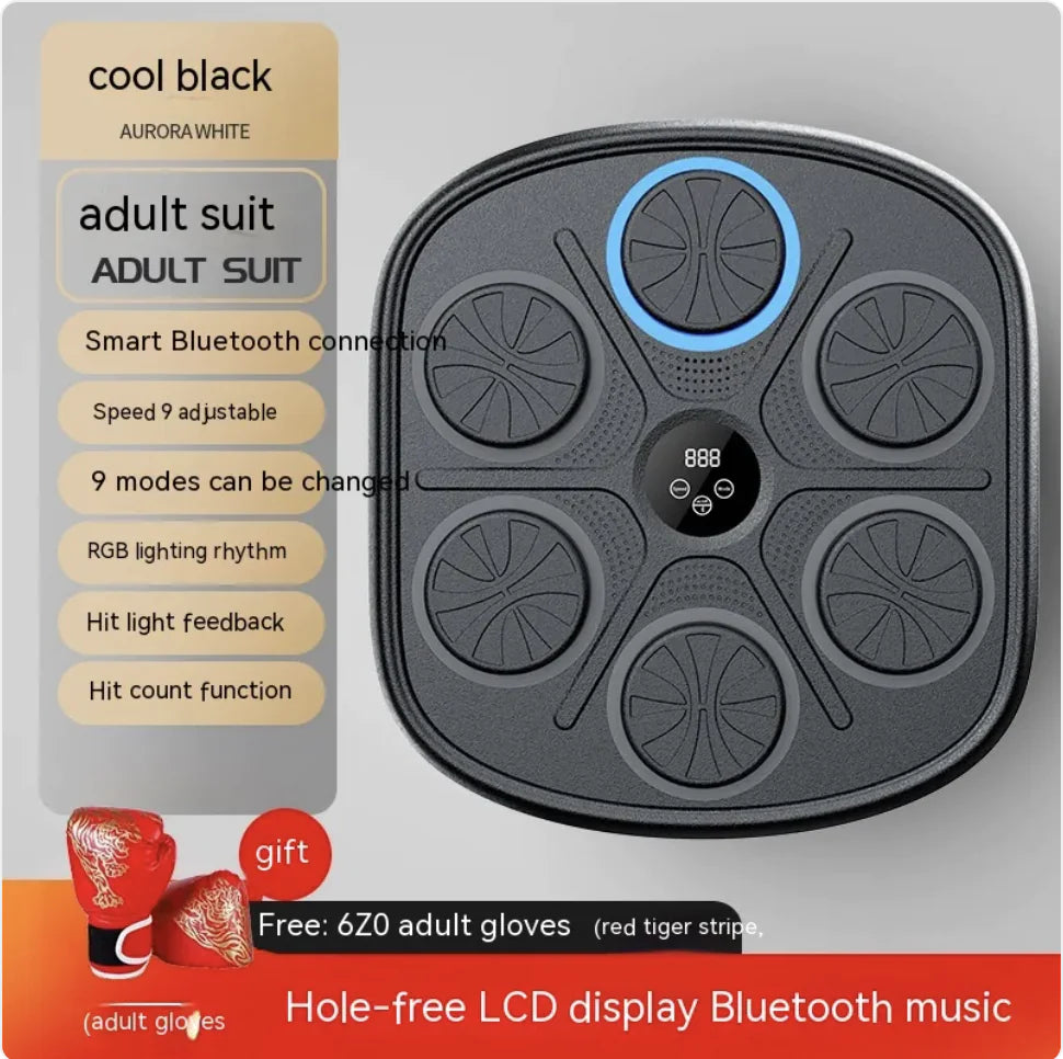 Rhythm Boxing Wall Pro