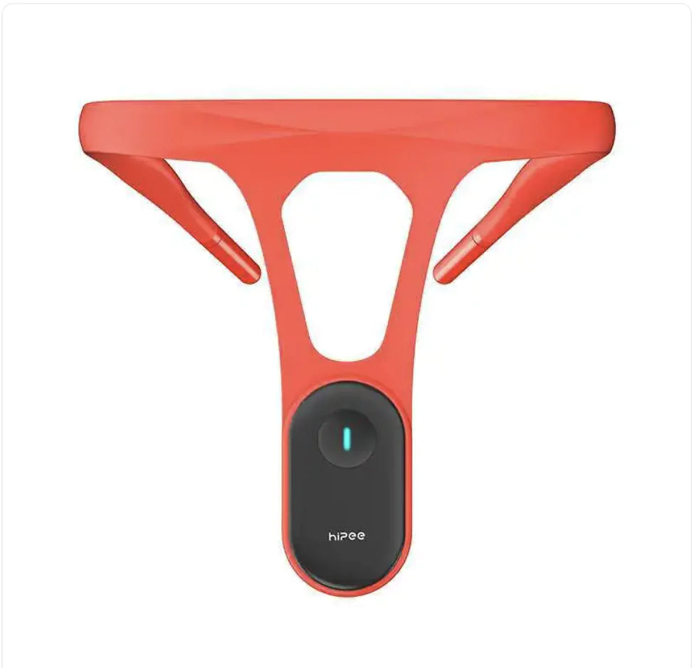 Stealth Posture Alignment Assistant