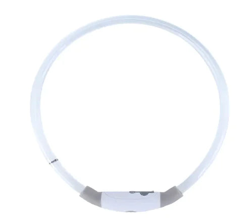 Glowing USB Dog Collar