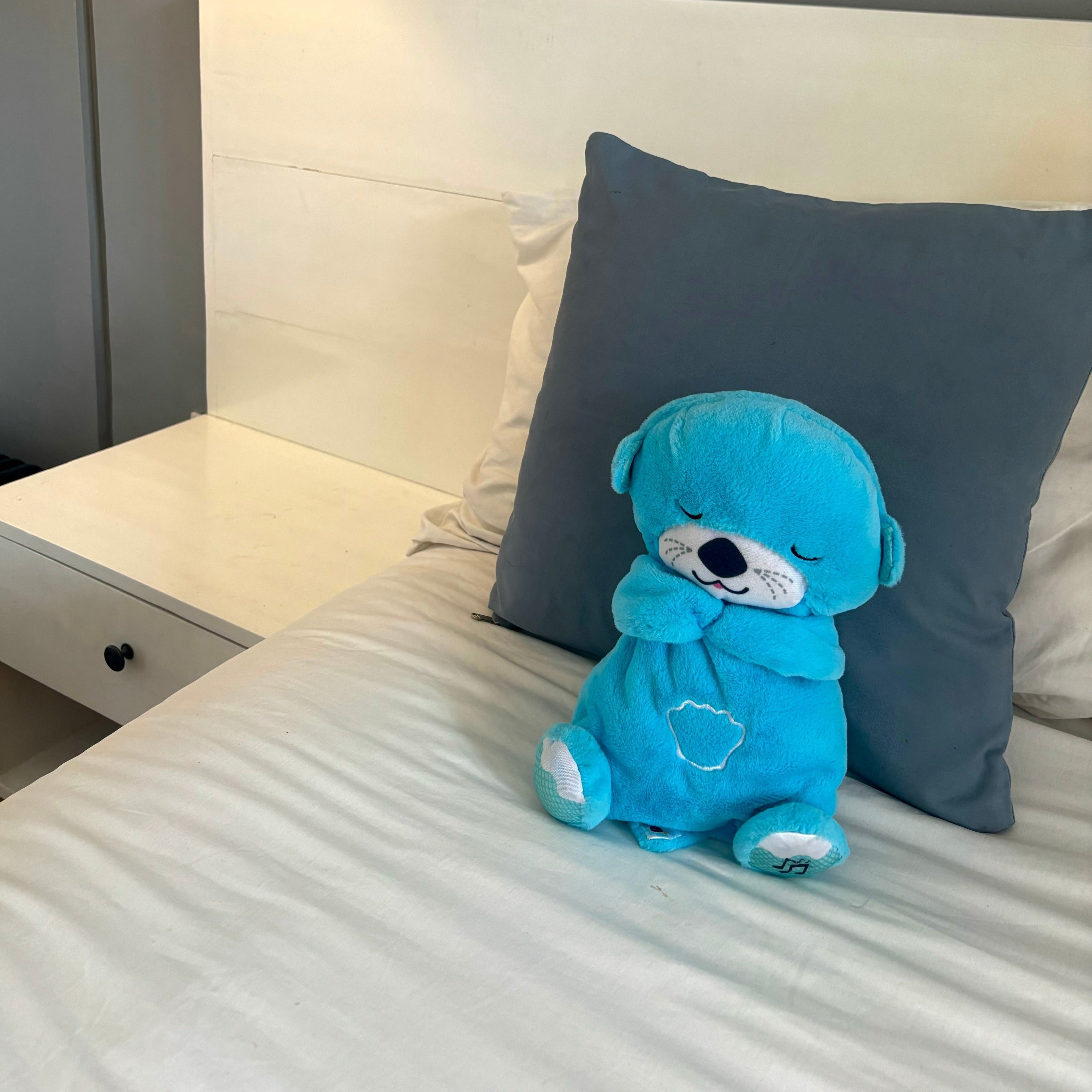 Sleep Soother Pal